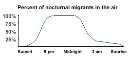 nocturnal