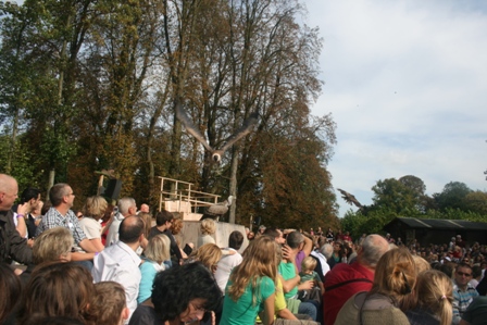 pairi(15).JPG (104943 octets)