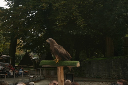pairi(16).JPG (74261 octets)