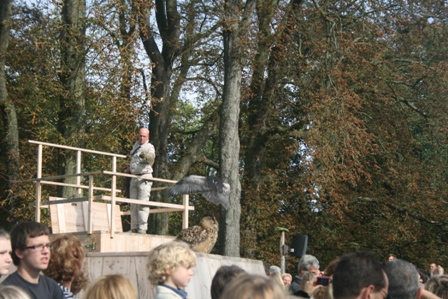pairi(19).JPG (121593 octets)