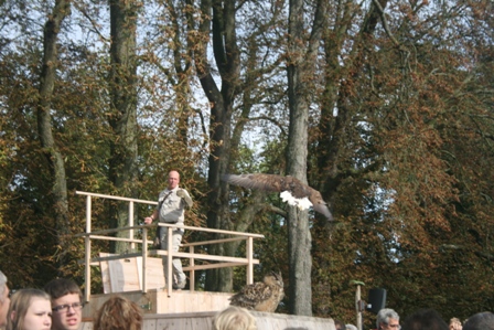 pairi(20).JPG (124212 octets)