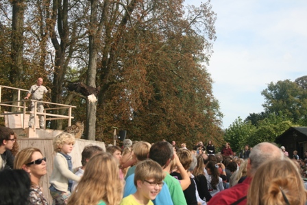pairi(21).JPG (107655 octets)