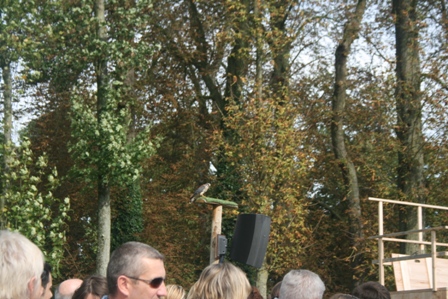 pairi(26).JPG (125092 octets)
