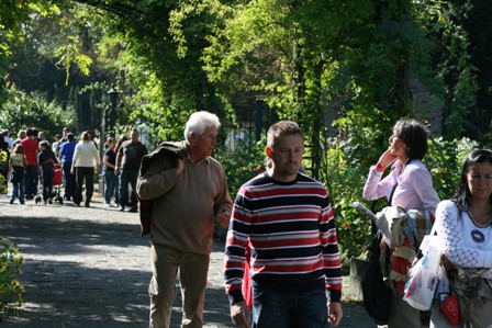 pairi(46).JPG (76856 octets)