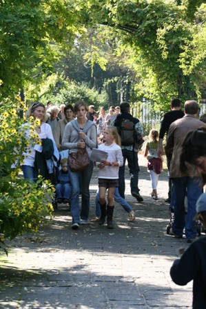 pairi(51).JPG (78270 octets)
