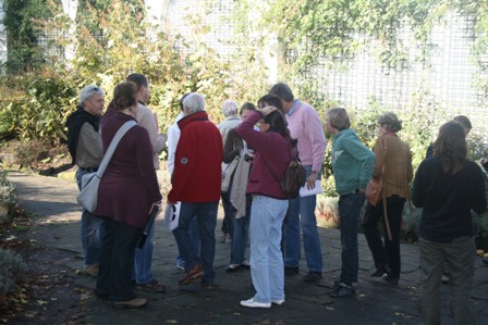 pairi(91).JPG (64742 octets)