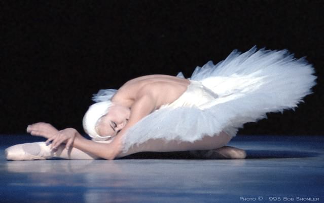 swan-ballet.jpg (23598 octets)