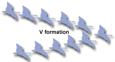 V formation